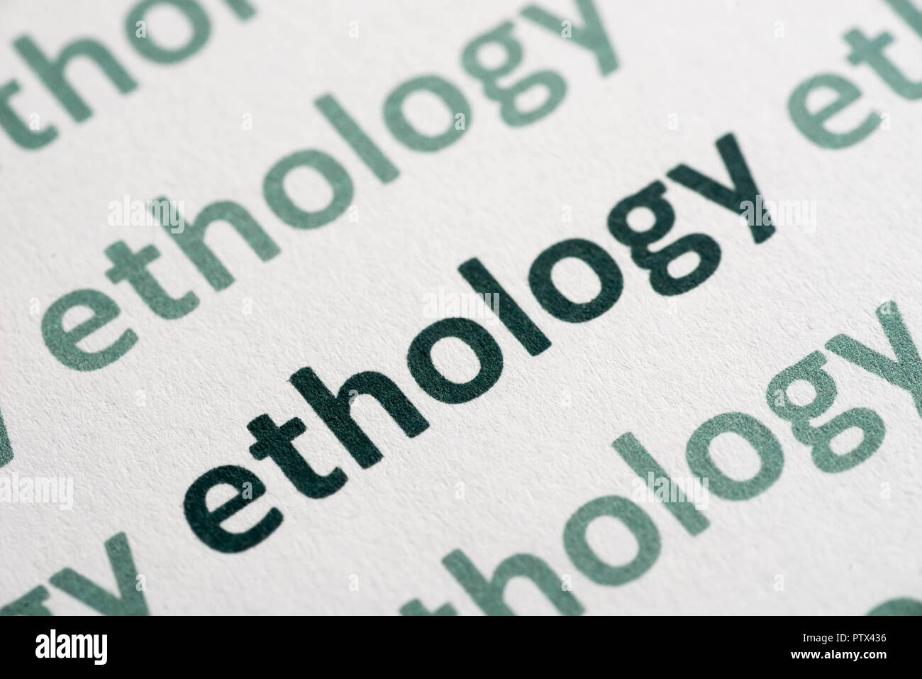 word ethology printed on white paper macro Stock Photo