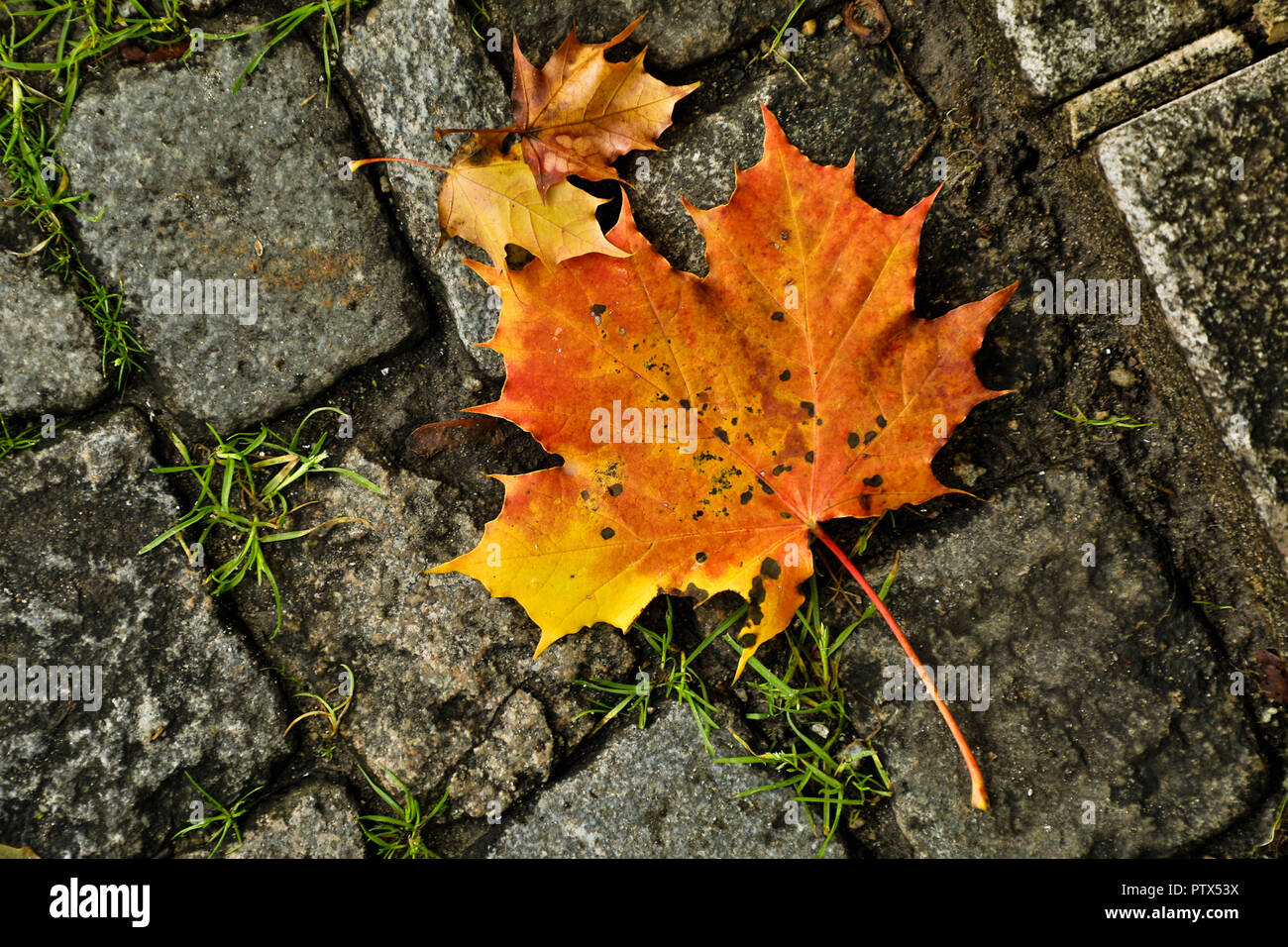 Norway Stock Photo