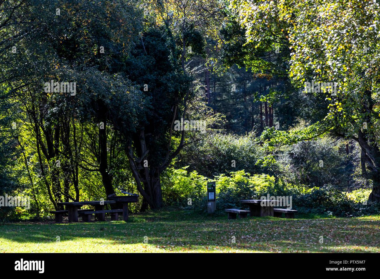 Forest of Dean Adventure, Beechenhurst, Gloucestershire offers outdoor