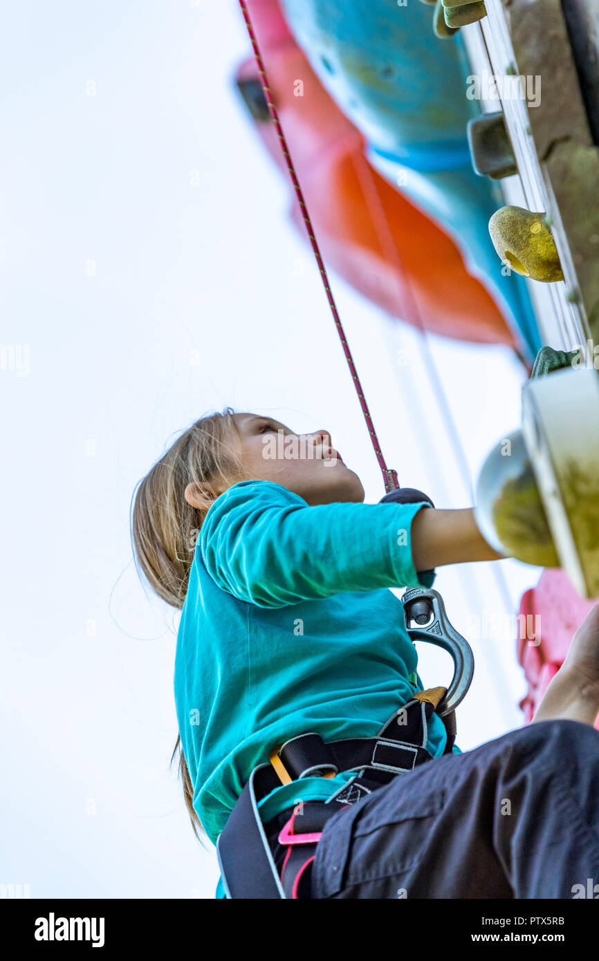 Climbing Tower. Forest of Dean Adventure, Beechenhurst, Gloucestershire