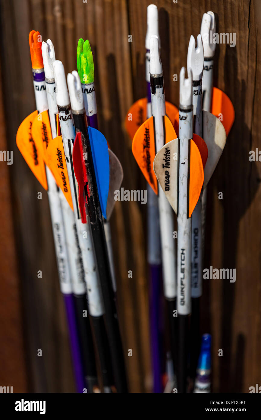 Archery activity. Forest of Dean Adventure, Beechenhurst