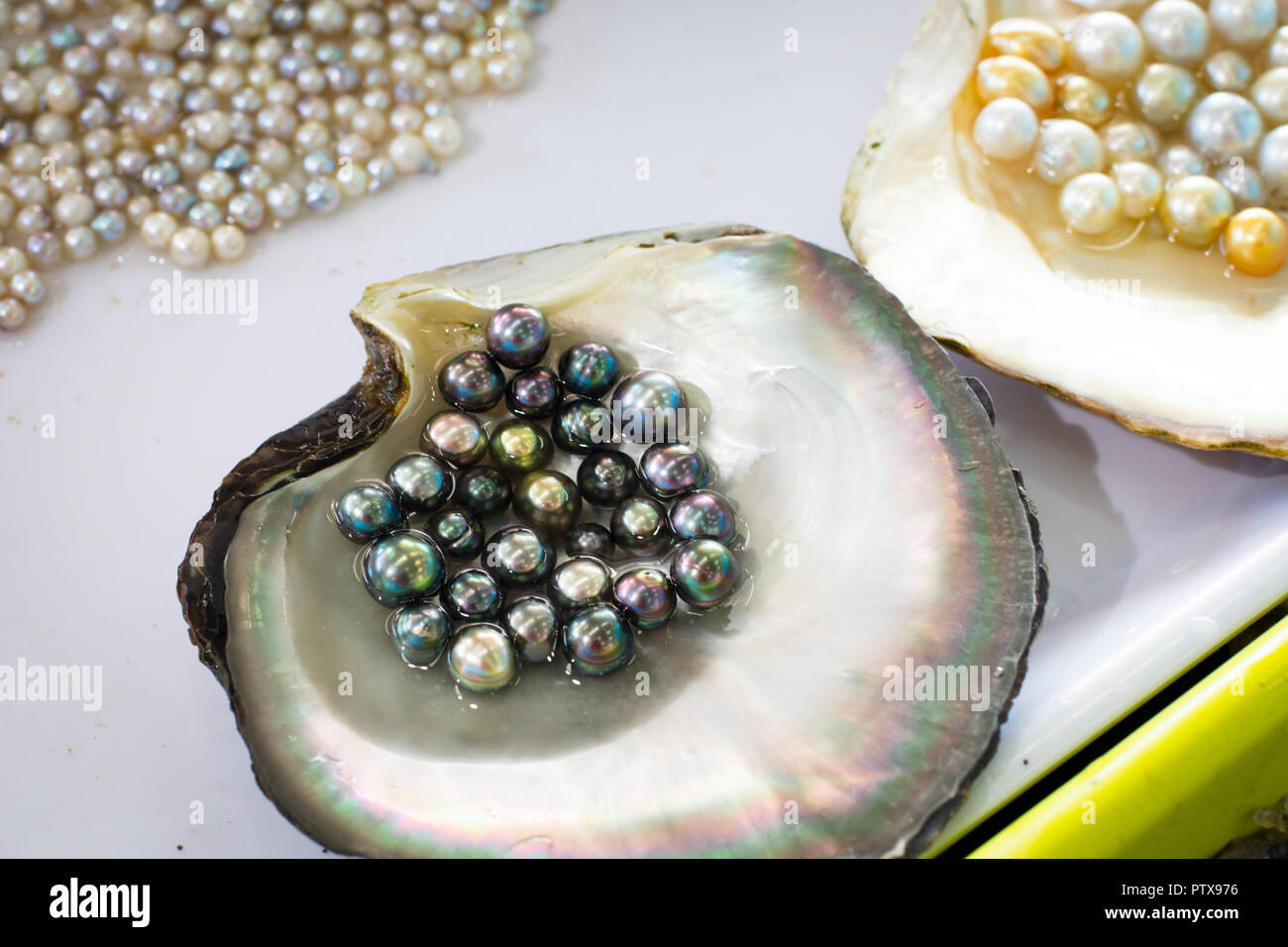 Farmed pearls discount