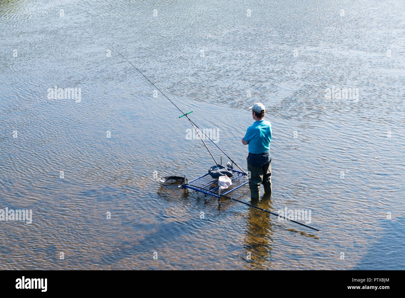 fisherman standing in the shallow River Severn with a fishing rod in Bewdley, Worcestershire, UK Stock Photo