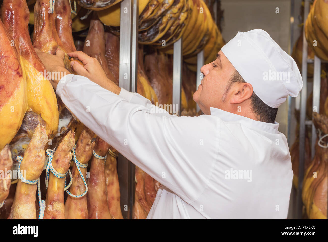 Man controlling the curing of spanish jamon. Food industry concept ...