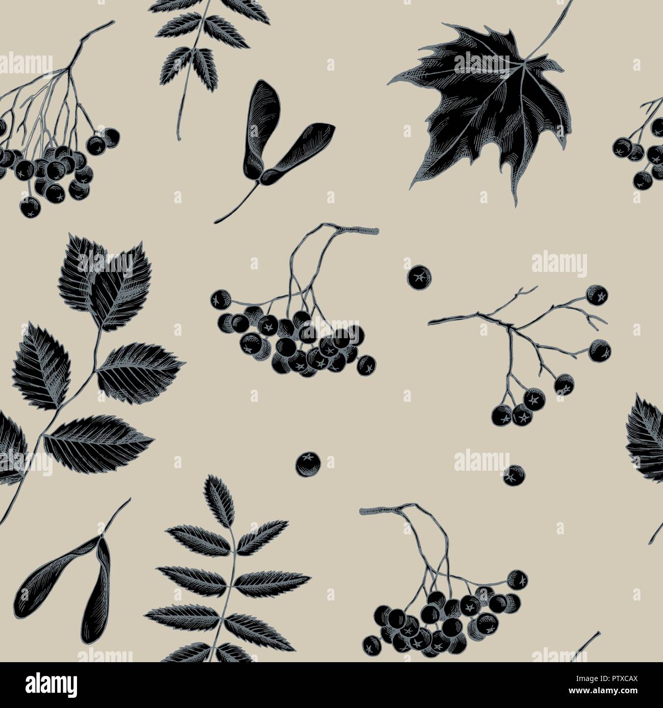 Vector seamless pattern of autumn pattern. Hand drawn vector ...