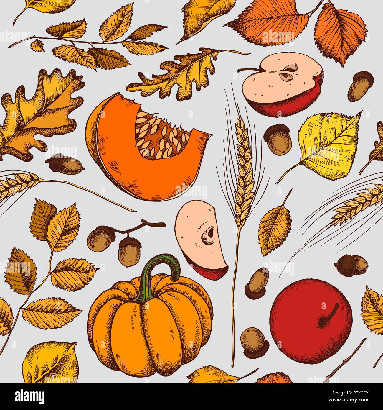 Vector seamless pattern of autumn pattern. Hand drawn vector ...