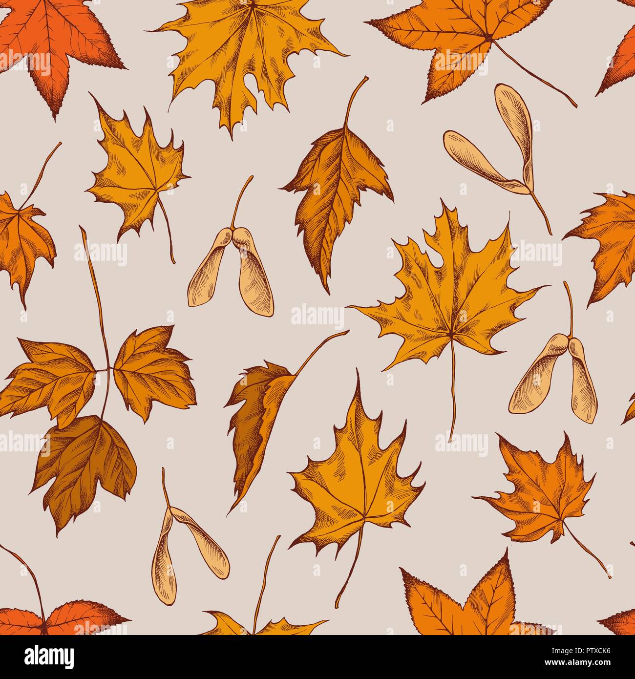 Vector seamless pattern of autumn pattern. Hand drawn vector illustration Stock Vector