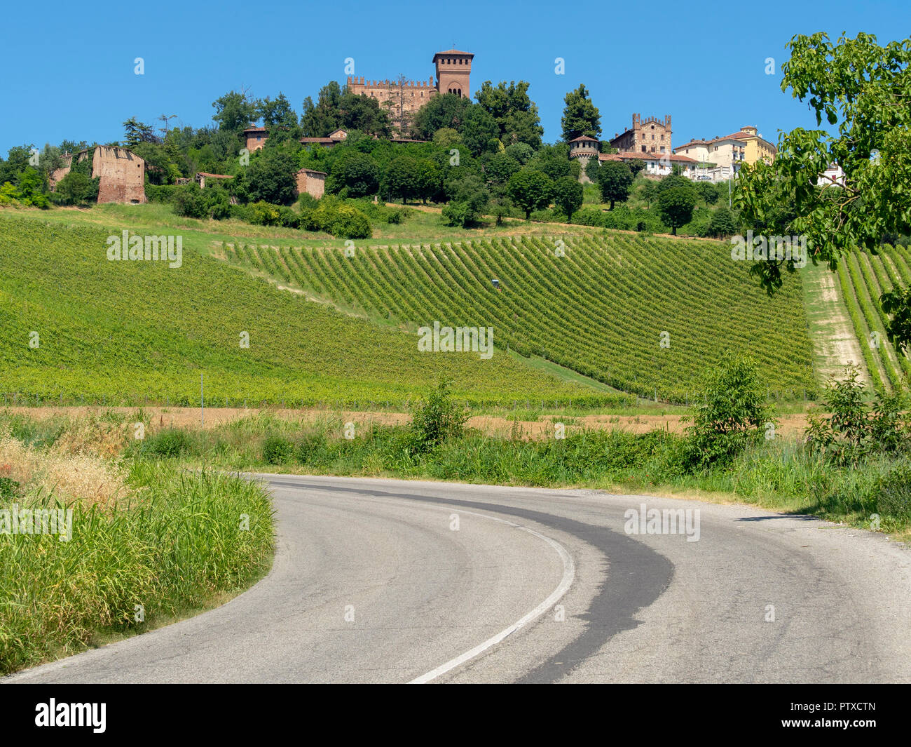 Vineyards at Gabiano, Alessandria, Monferrato, Piedmont, Italy. Summer landscape Stock Photo