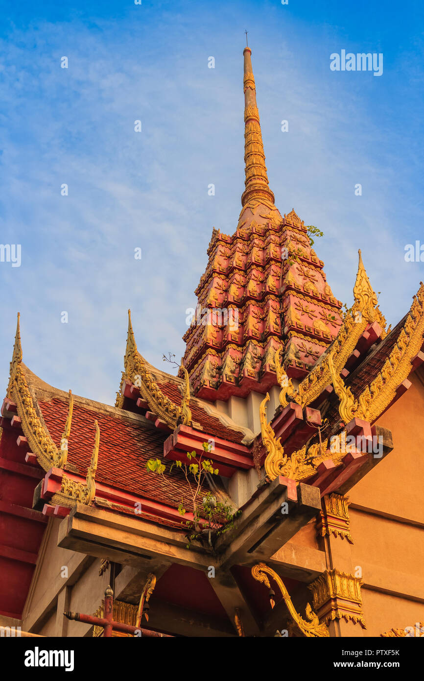 Little green bodhi tree growing up on top of golden pagoda under blue ...