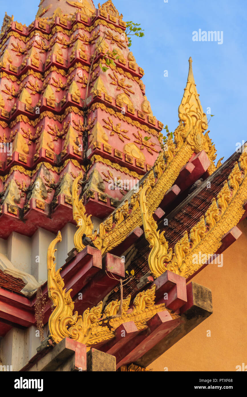 Little green bodhi tree growing up on top of golden pagoda under blue ...