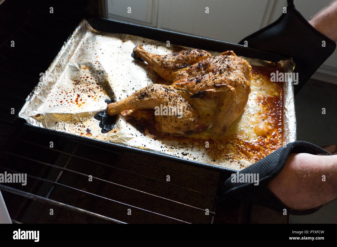 https://c8.alamy.com/comp/PTXFCW/perfectly-roasted-whole-spatchcocked-chicken-being-taken-out-of-an-antique-oven-cooker-by-mans-hands-delicious!-PTXFCW.jpg