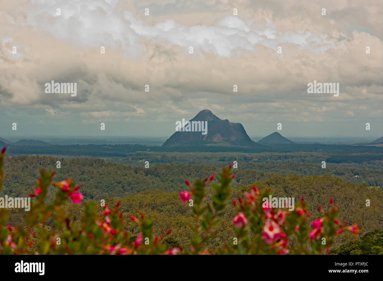 View from Maleny to Mount Beerwah on a cloudy day in the Glass House Mountains in Queensland Australia Stock Photo