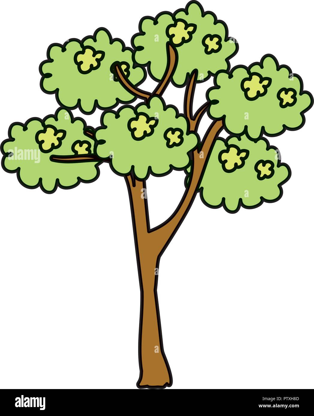 tree plant isolated icon Stock Vector Image & Art - Alamy