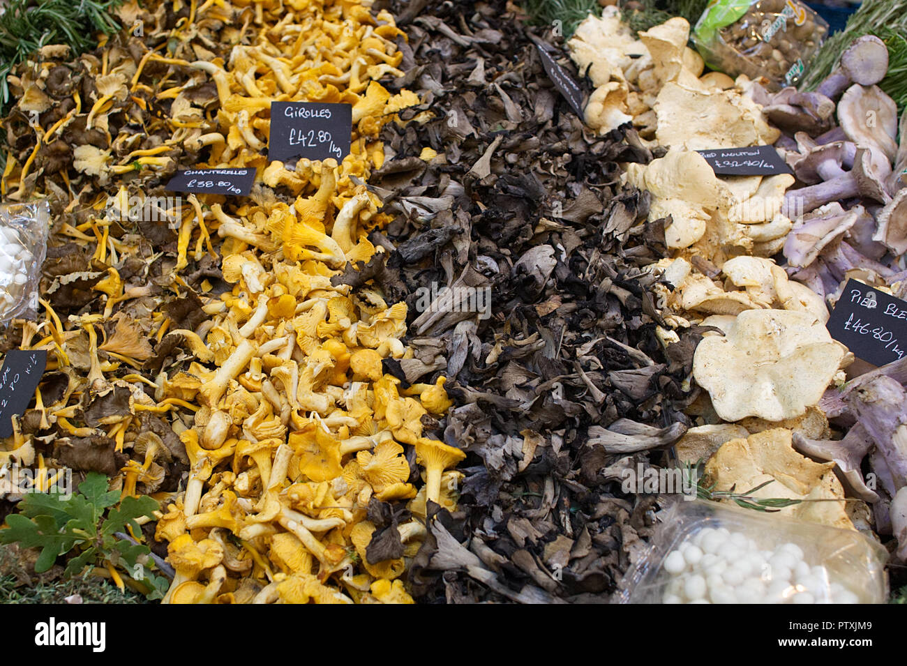 Display of assorted mushrooms  on a London Market stall Stock Photo