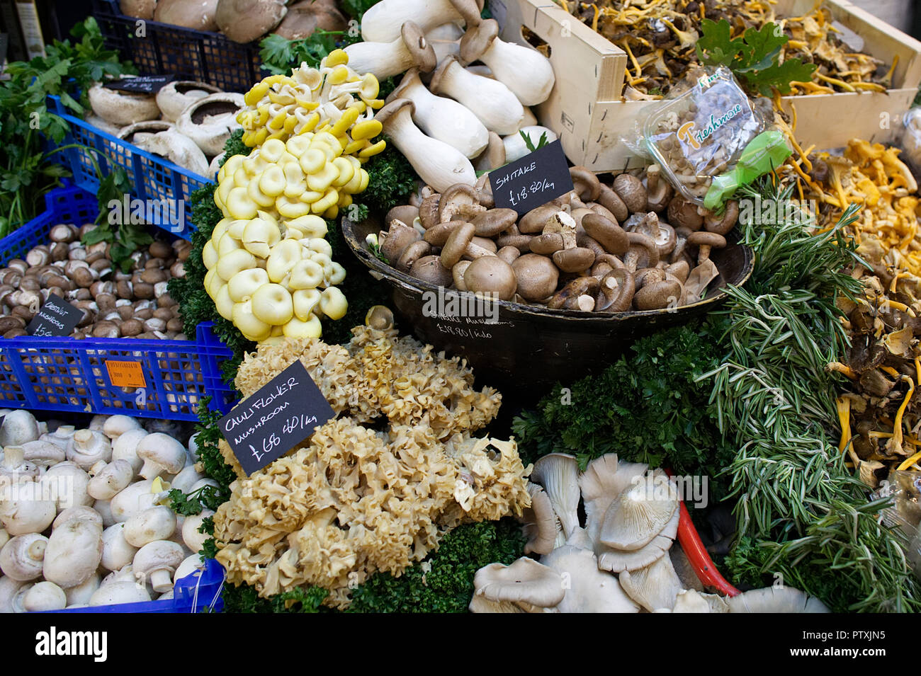 Display of assorted mushrooms  on a London Market stall Stock Photo