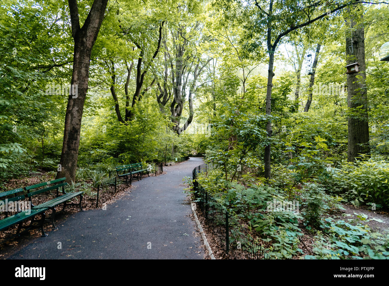 New york travel tourism hi-res stock photography and images - Alamy