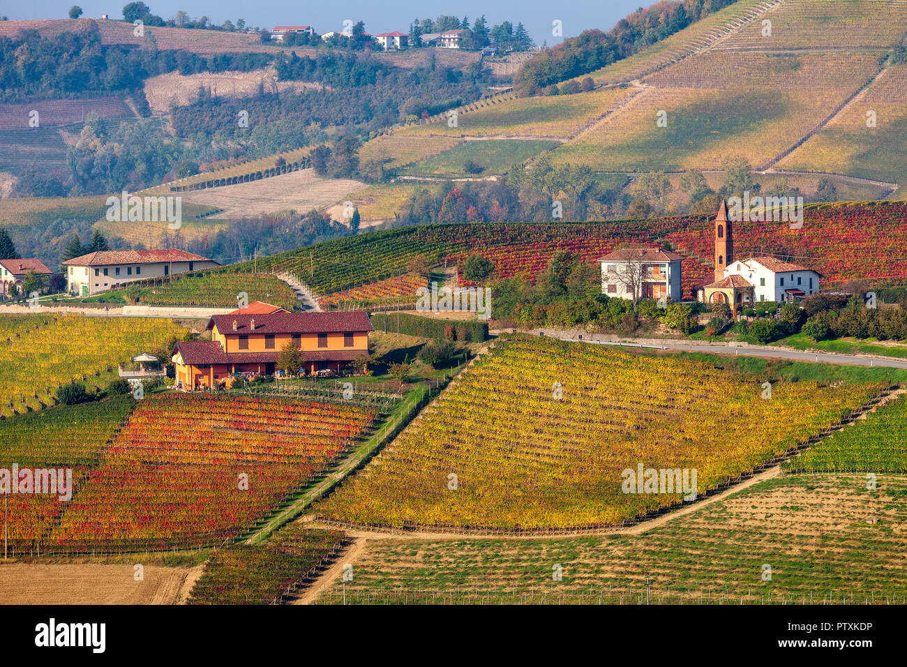 Rural houses among colorful autumnal hills and vineyards in Piedmont, Northern Italy. Stock Photo