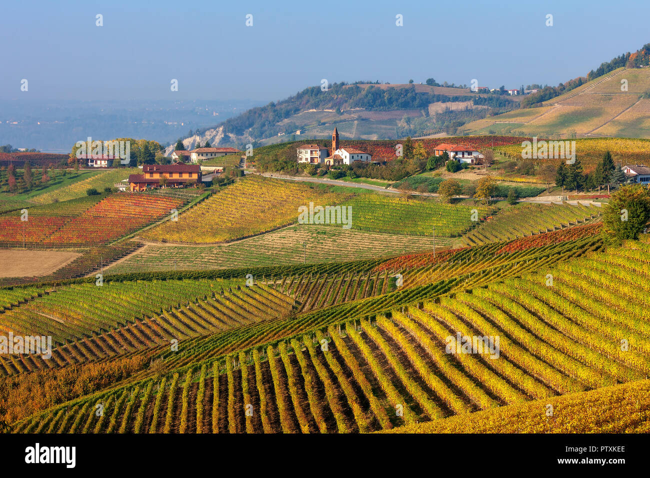 Colorful autumnal vineyards on the hills of Langhe in Piedmont, Northern Italy. Stock Photo