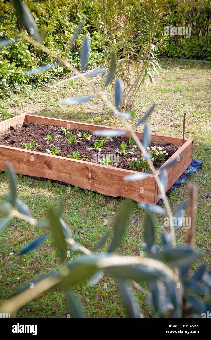 a vegetable garden tubs Stock Photo Alamy