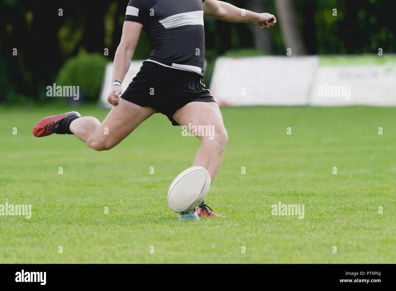 Rugby player kicking ball hires stock photography and images Alamy