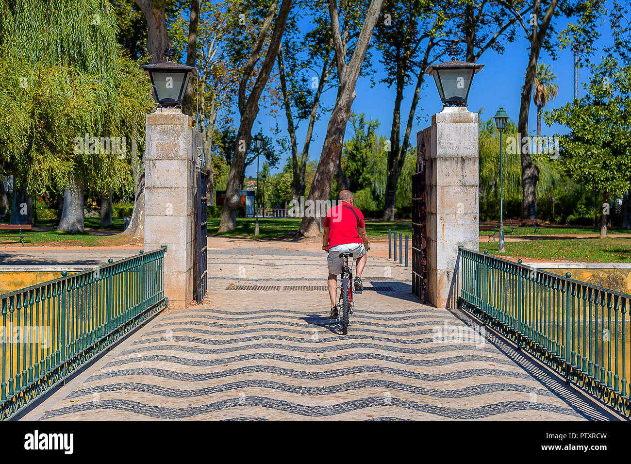 Man Ridding a Bike on a Public Park Bridge under a Blue Sky Stock Photo