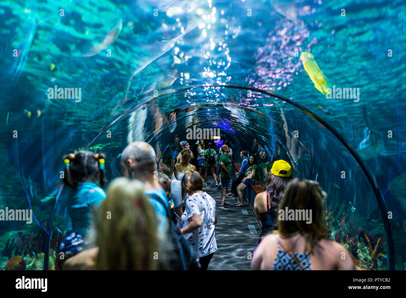 PUERTO DE LA CRUZ, SPAIN - JULY 20, 2018: Glass tunnel in the aquarium ...