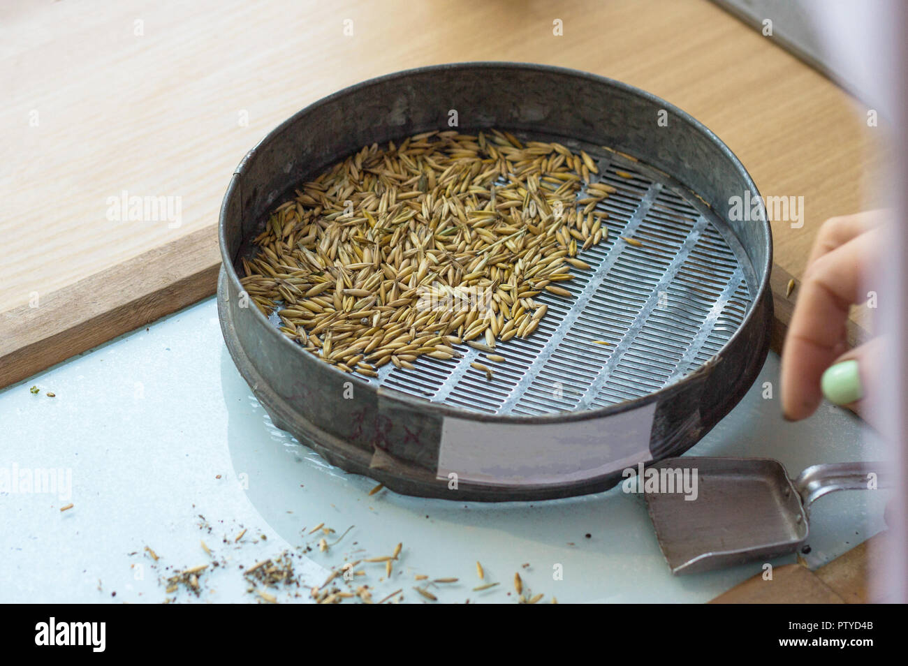 Laboratory for the inspection and analysis of grain, on the table lies