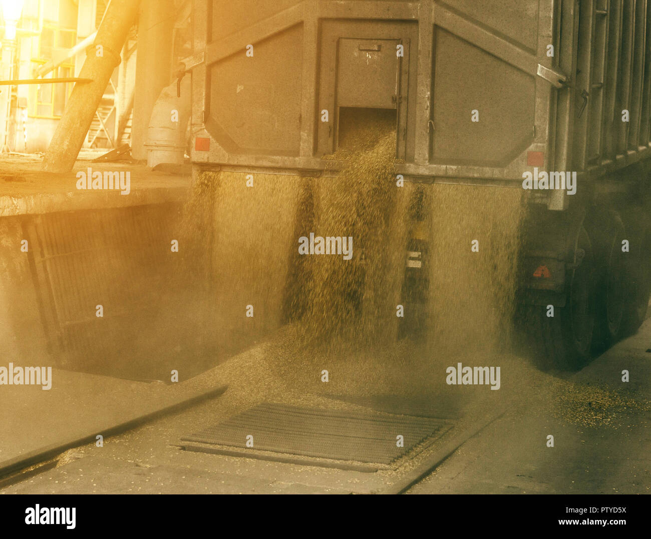 A truck unloads grain at a grain storage and processing plant, a grain