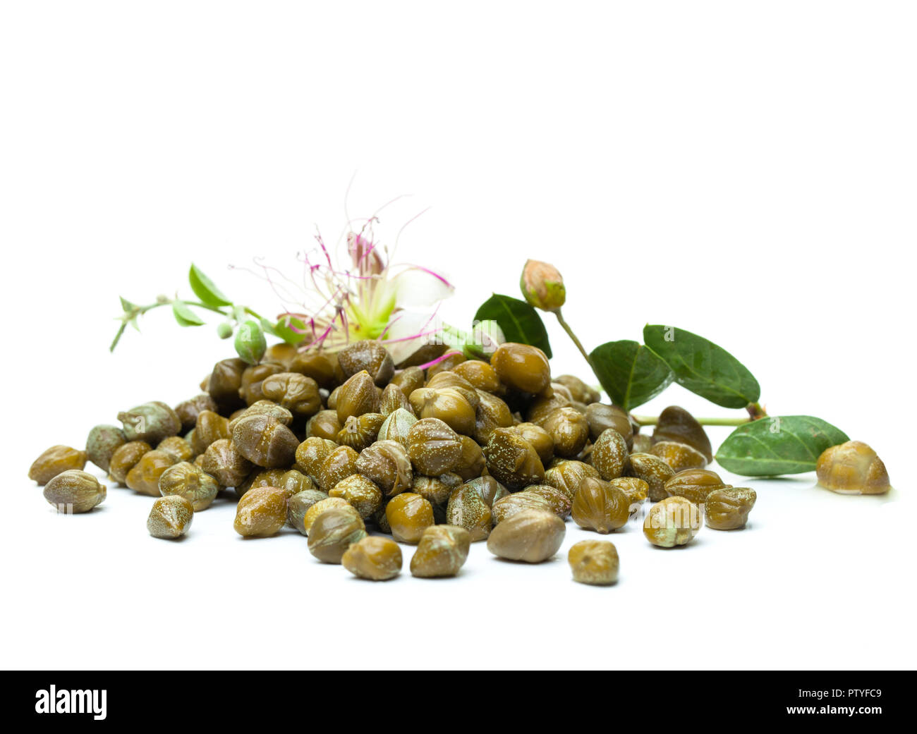 Pickled capers with caper flower on white background Stock Photo Alamy