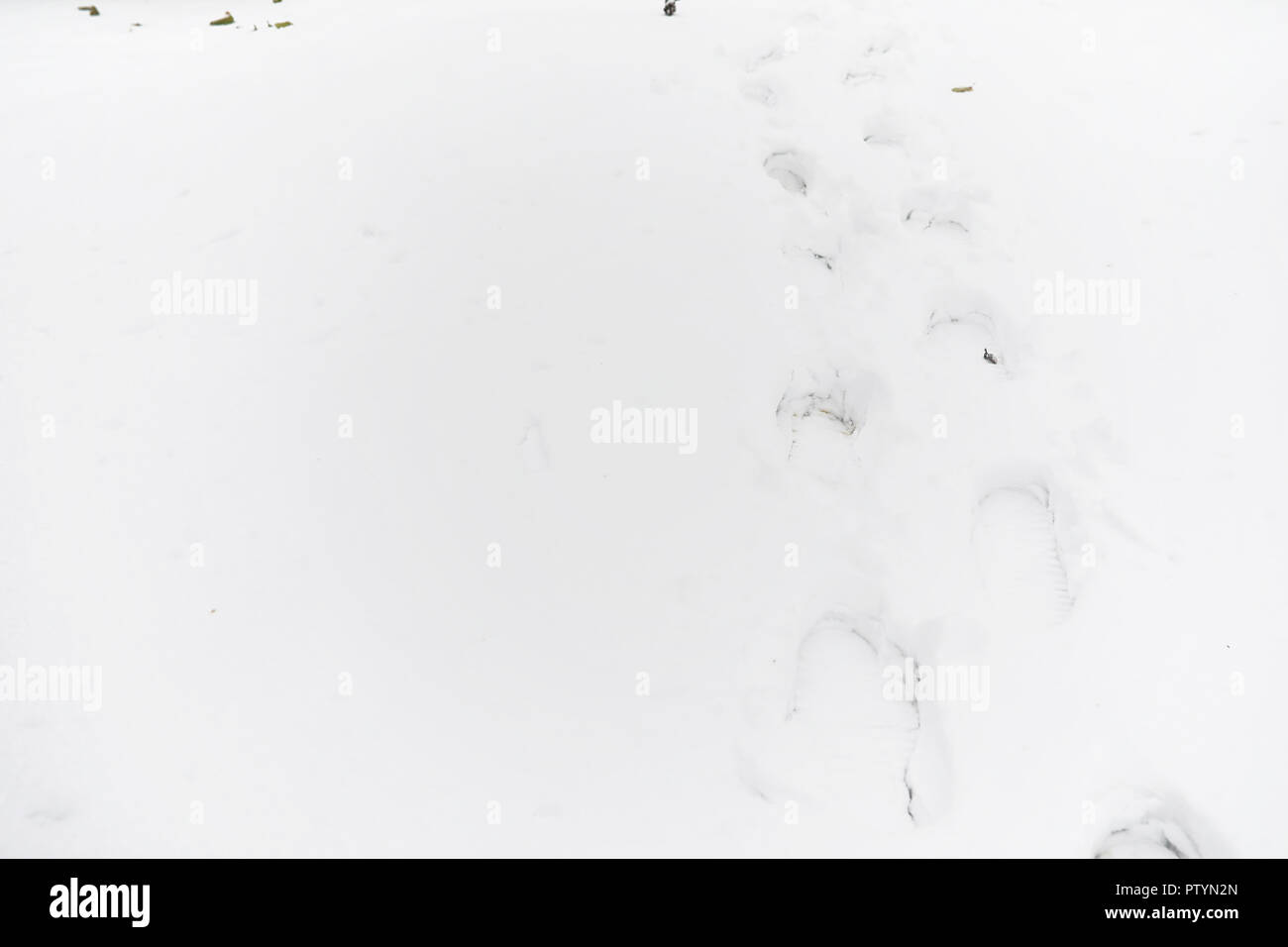 Footprints in the snow. Footprints on the first snow. Imprint of shoes