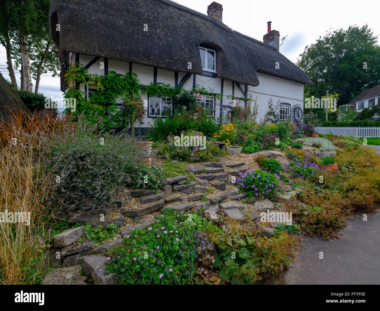 Typical Hampshire country cottage - half timbered and thatched - with pretty front garden in the village of Easton near Winchester in the South Downs  Stock Photo