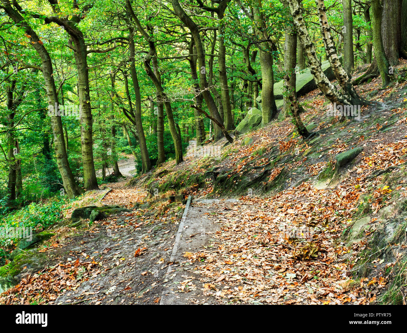 Path through early autumn woodland at Shipley Glen near Baildon West