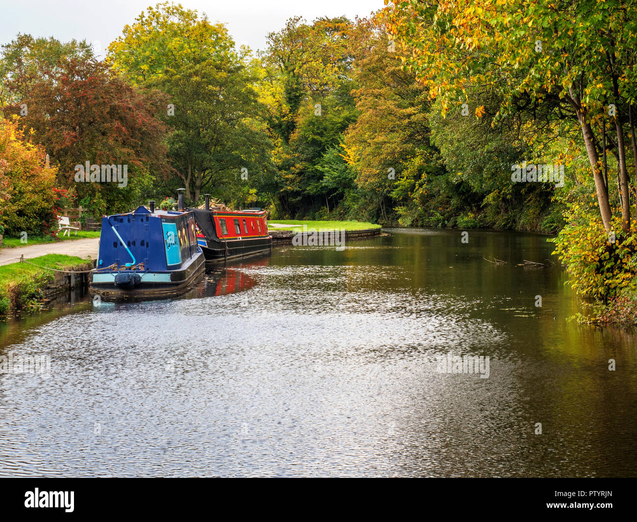 Narrowboats moored on the Leeds and Liverpool Canal at Dowley Gap between Saltaire and Bingley West Yorkshire England Stock Photo