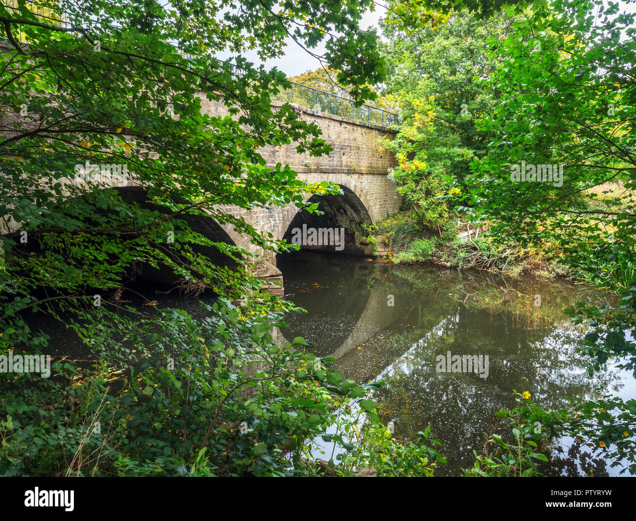 Dowley Gap Aqueduct carrying the Leeds and Liverpool Canal over the River Aire near Bingley West Yorkshire England Stock Photo