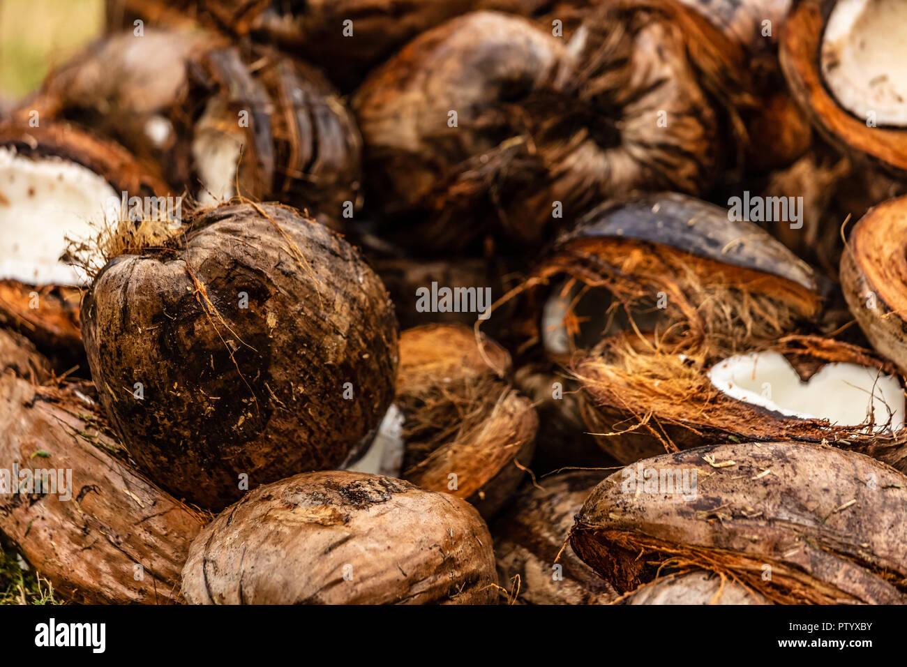 Decortication hi-res stock photography and images - Alamy