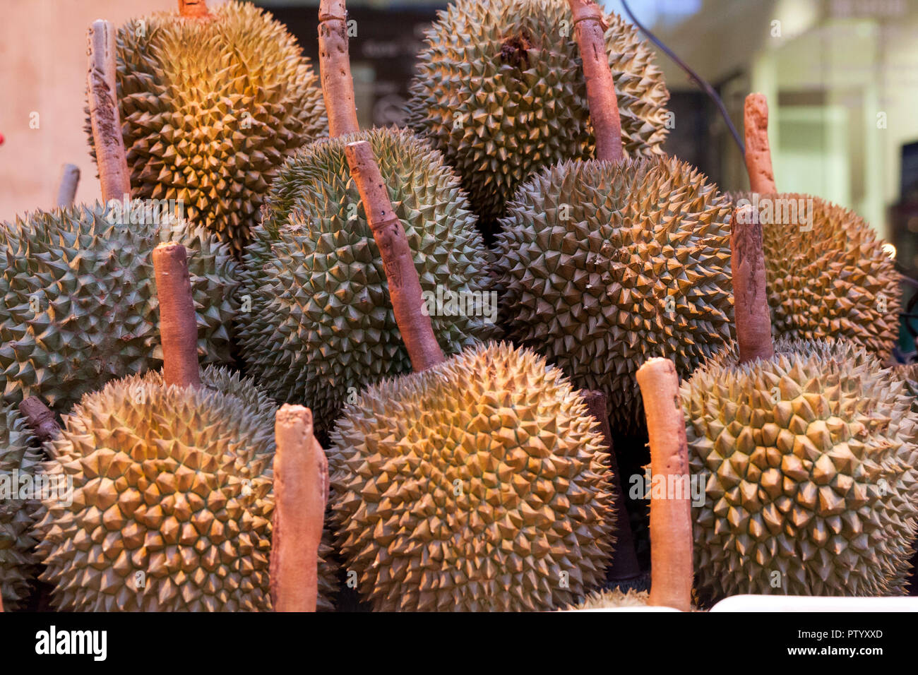 Durian capital hires stock photography and images Alamy