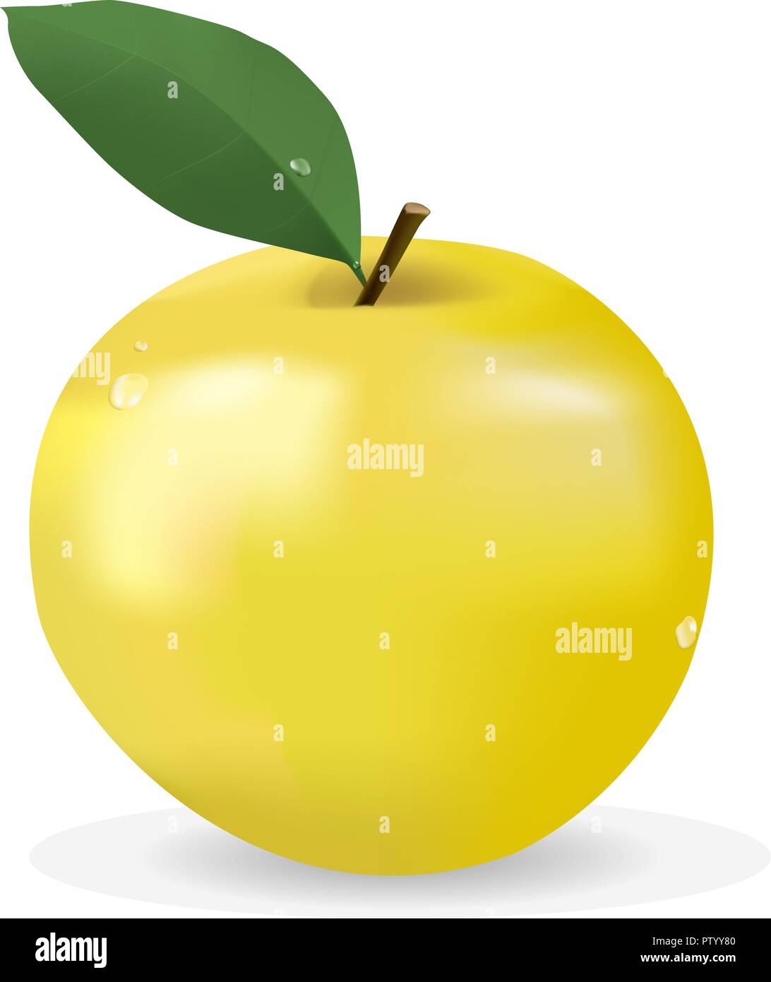 Green apple Stock Vector