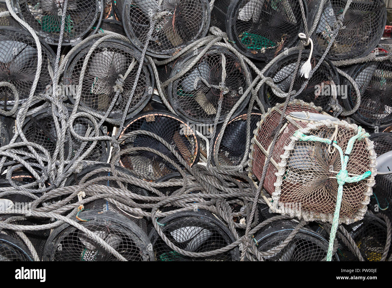 Nasa para pesca Stock Photo - Alamy