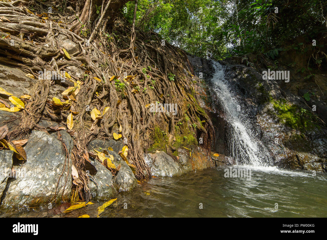 Kaeng nyui waterfall in Vang Vieng, Laos. Tropical rainforest  waterfall Stock Photo