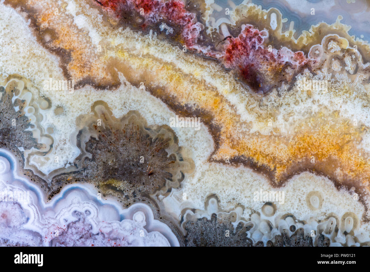Crazy Lace Agate Stock Photo