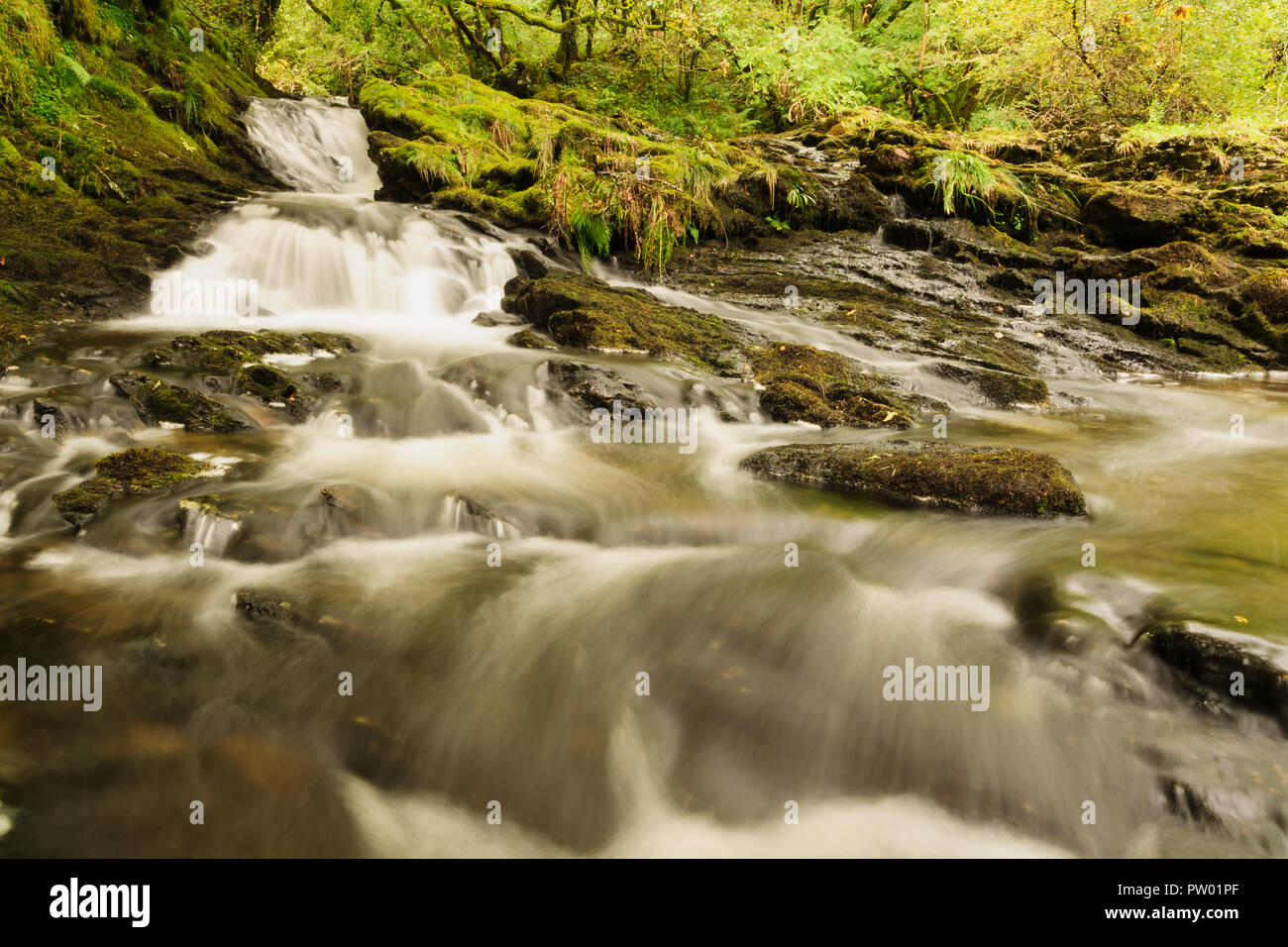 The river Ceunant Ty'n y Ddol in the Lledr Valley near Roman Bridge in the heart of the Snowdonia National Park in North Wales Stock Photo
