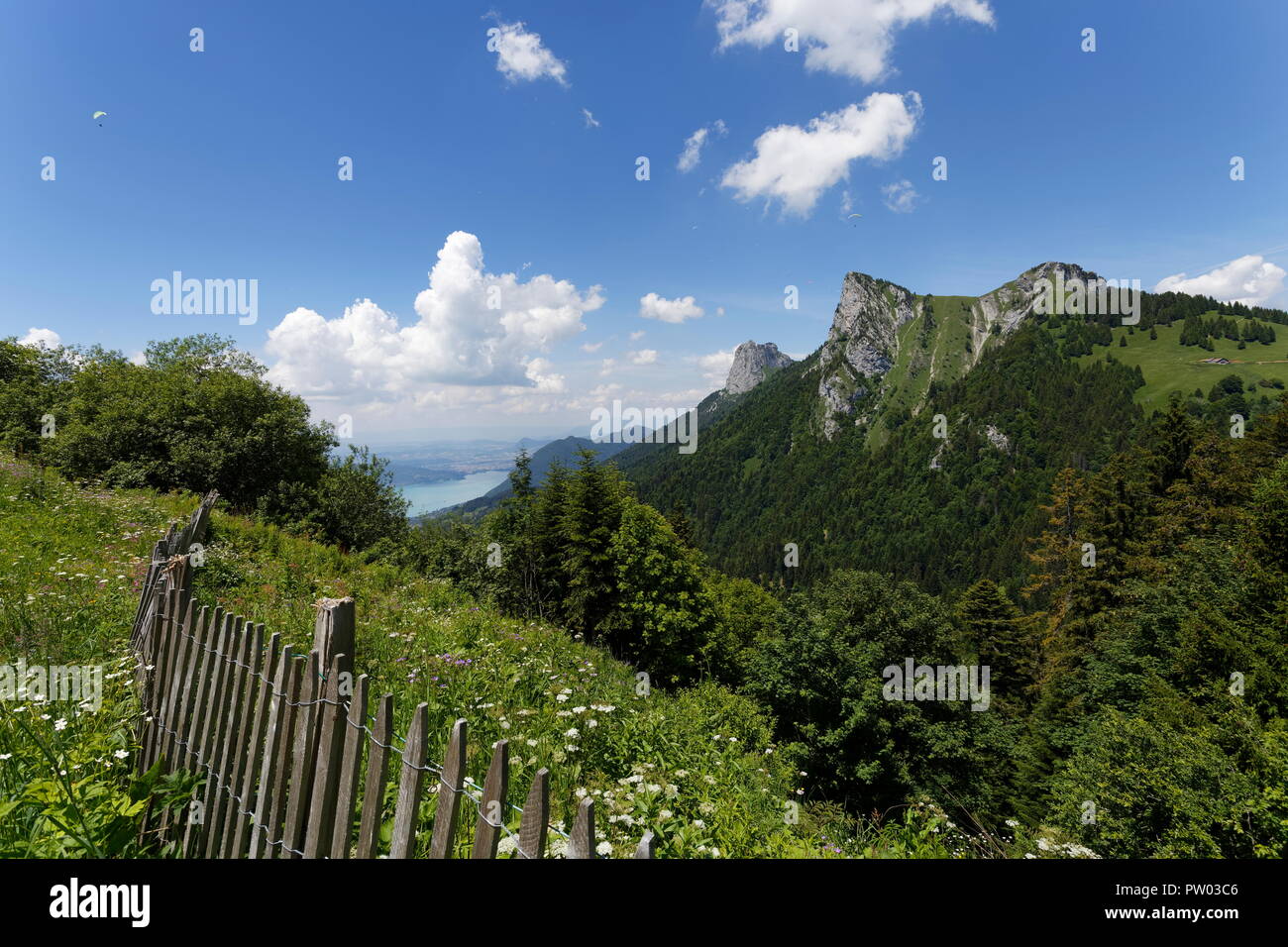 Meadow flowers and wooden picket fence with paragliders Lake Annecy and mountains in the distant from the hills around Col de la Forclaz France Stock Photo