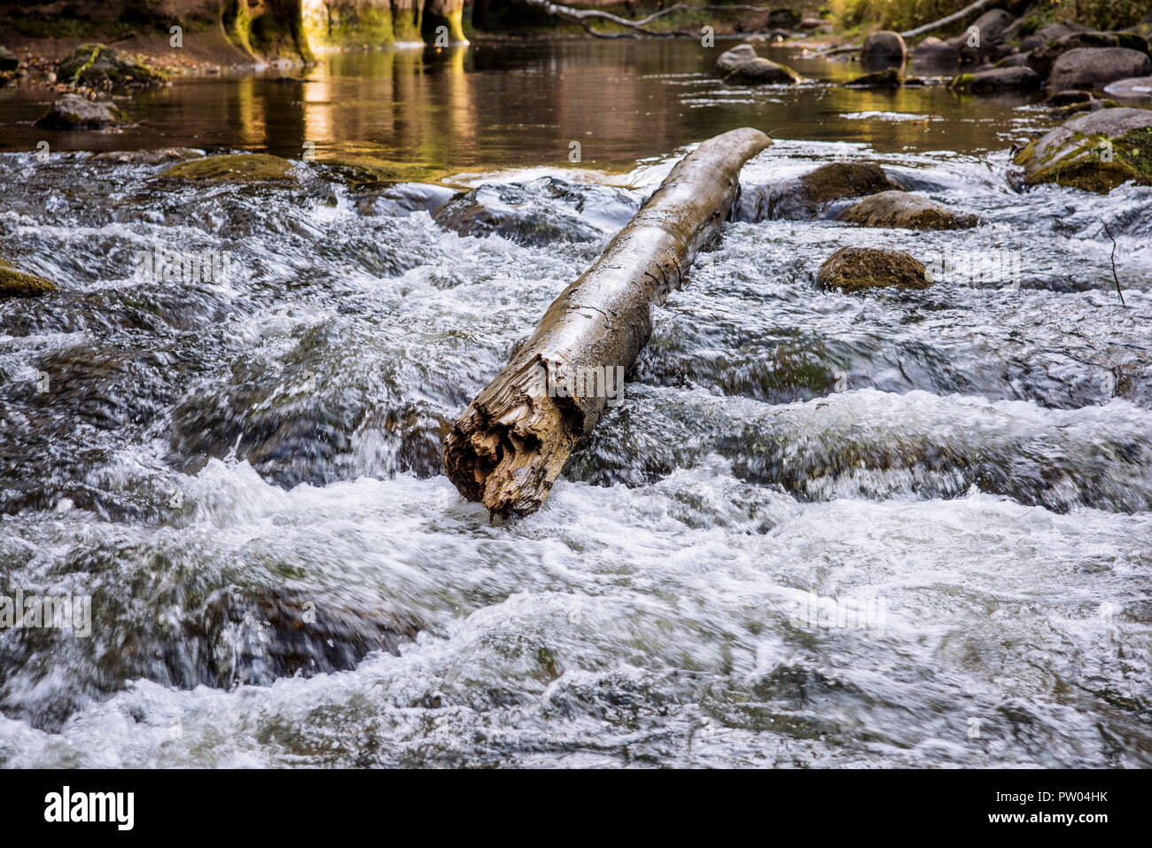 Log Floating High Resolution Stock Photography and Images Alamy