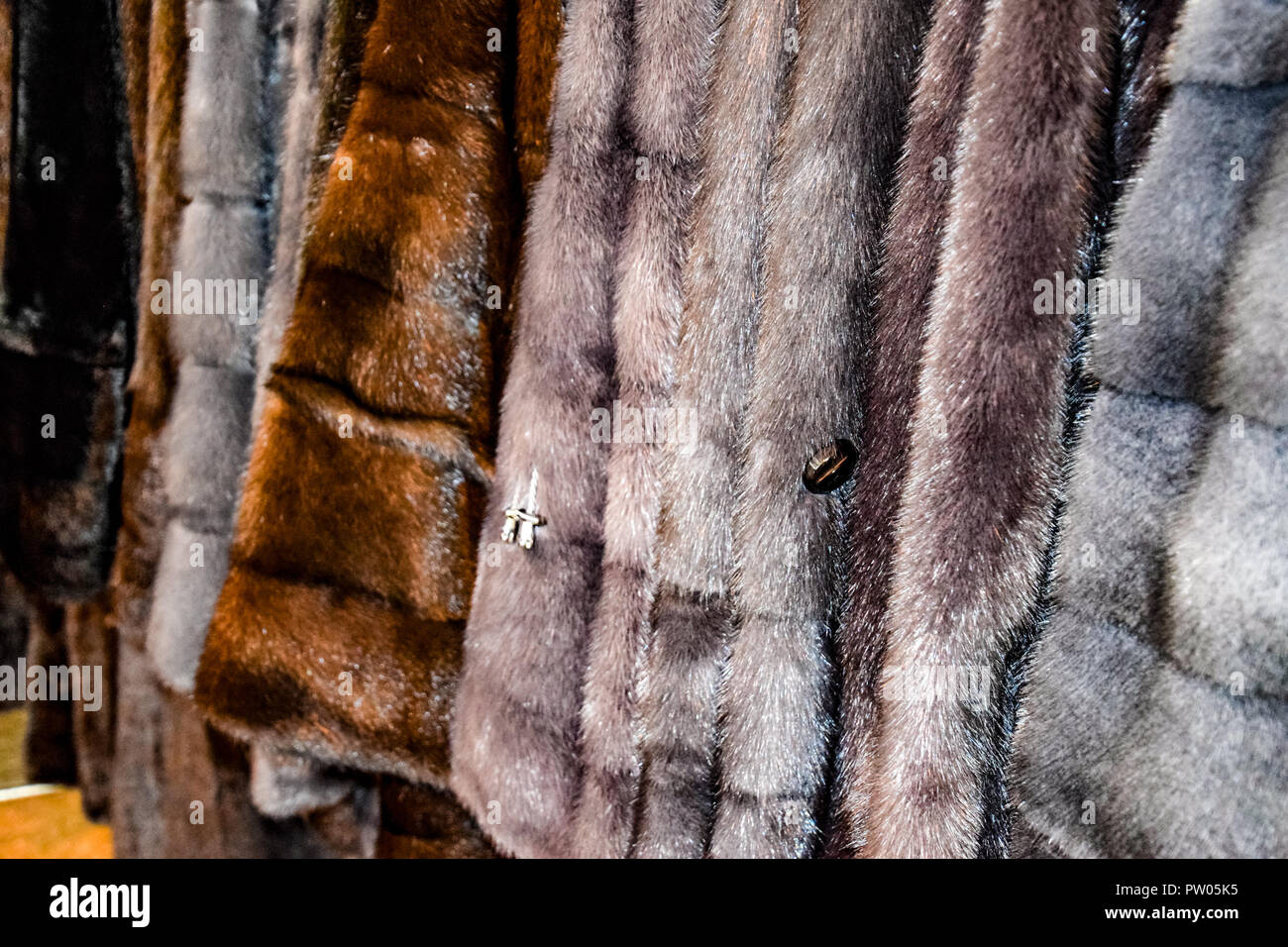 Fur coats mink sable hi-res stock photography and images - Alamy