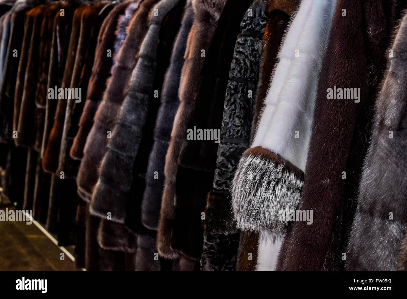 Fur coats mink sable hi-res stock photography and images - Alamy