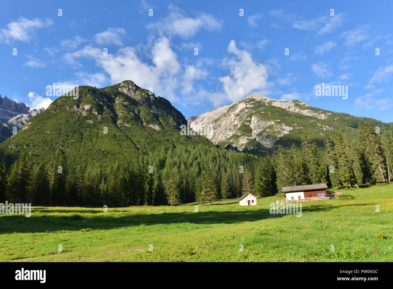 Summer in Alps Stock Photo - Alamy