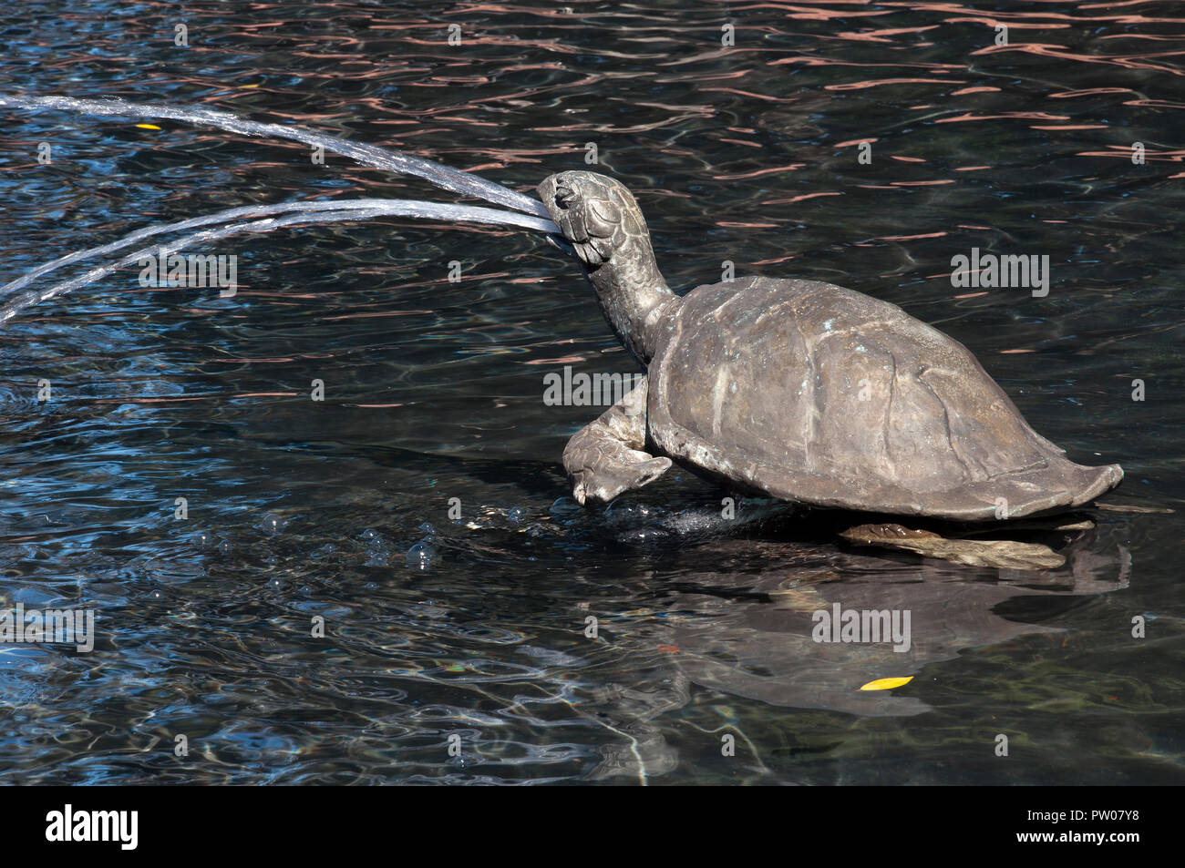 Sydney Australia, bronze sculpture of tortoise in water fountain Stock