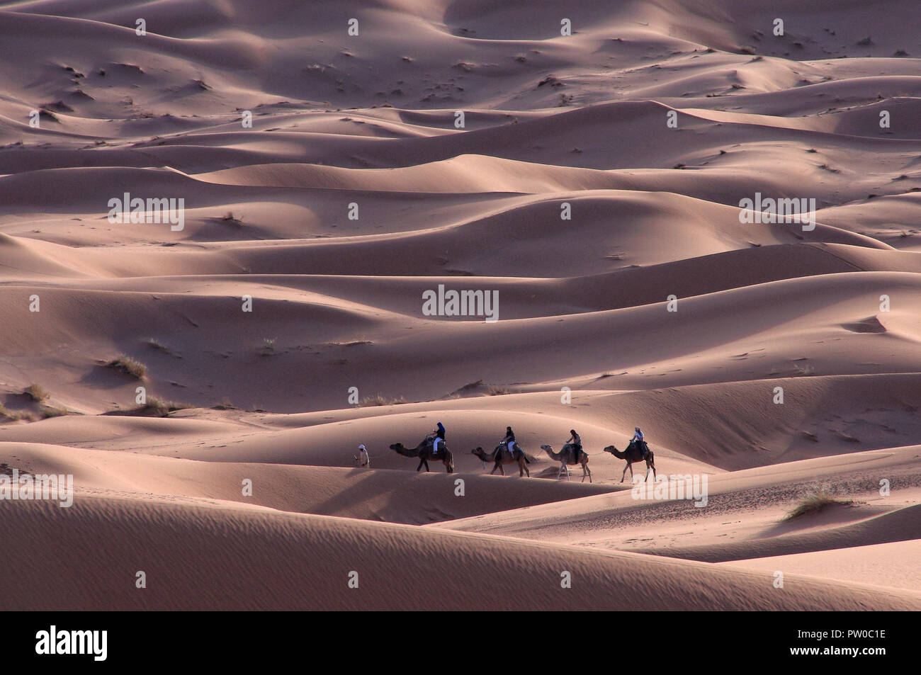 Trekking in the desert ... I love it! Stock Photo