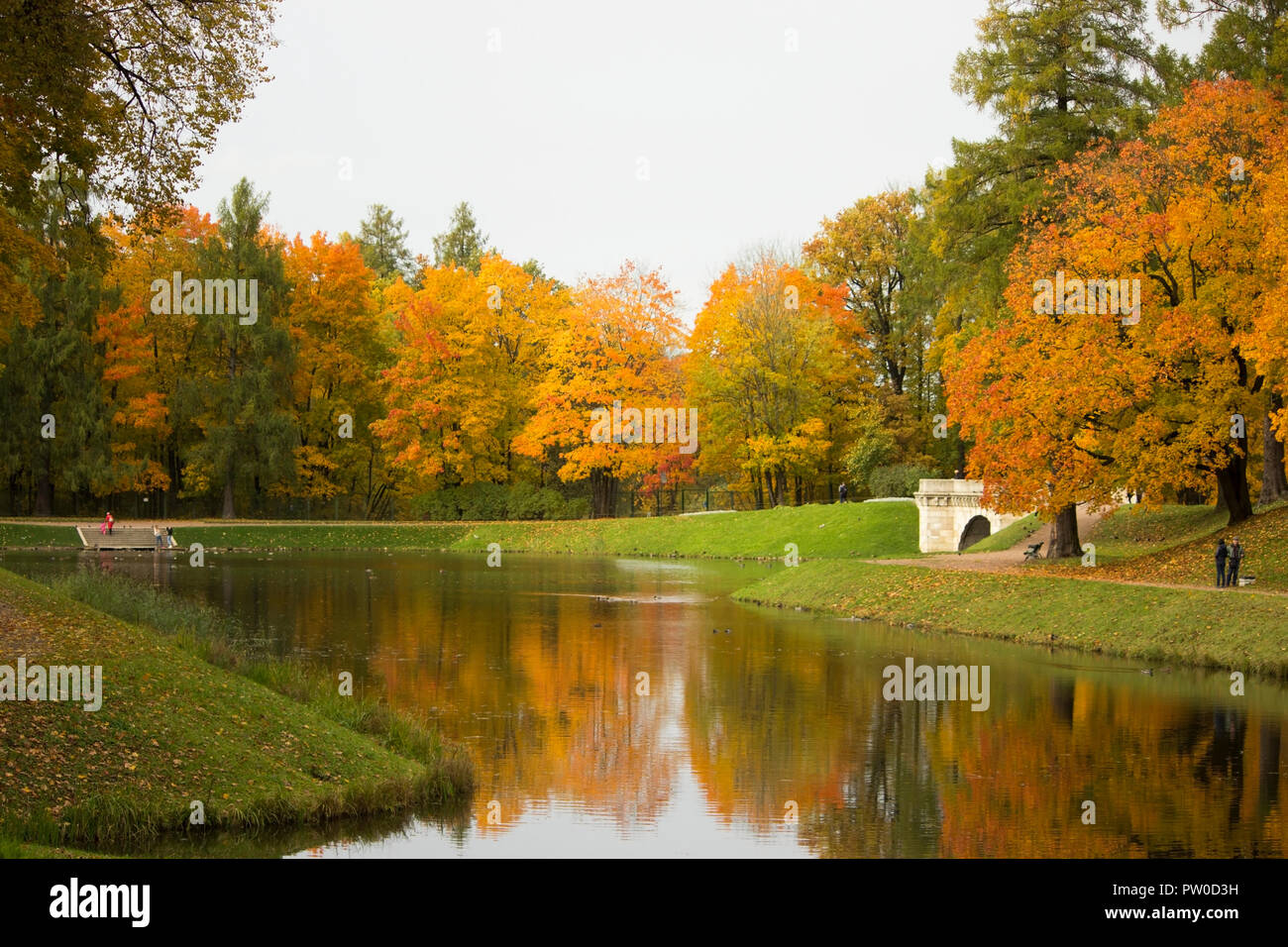 Autumn Gatchina Park with yellow foliage on trees and Karpin Pond, in which they are reflected Stock Photo