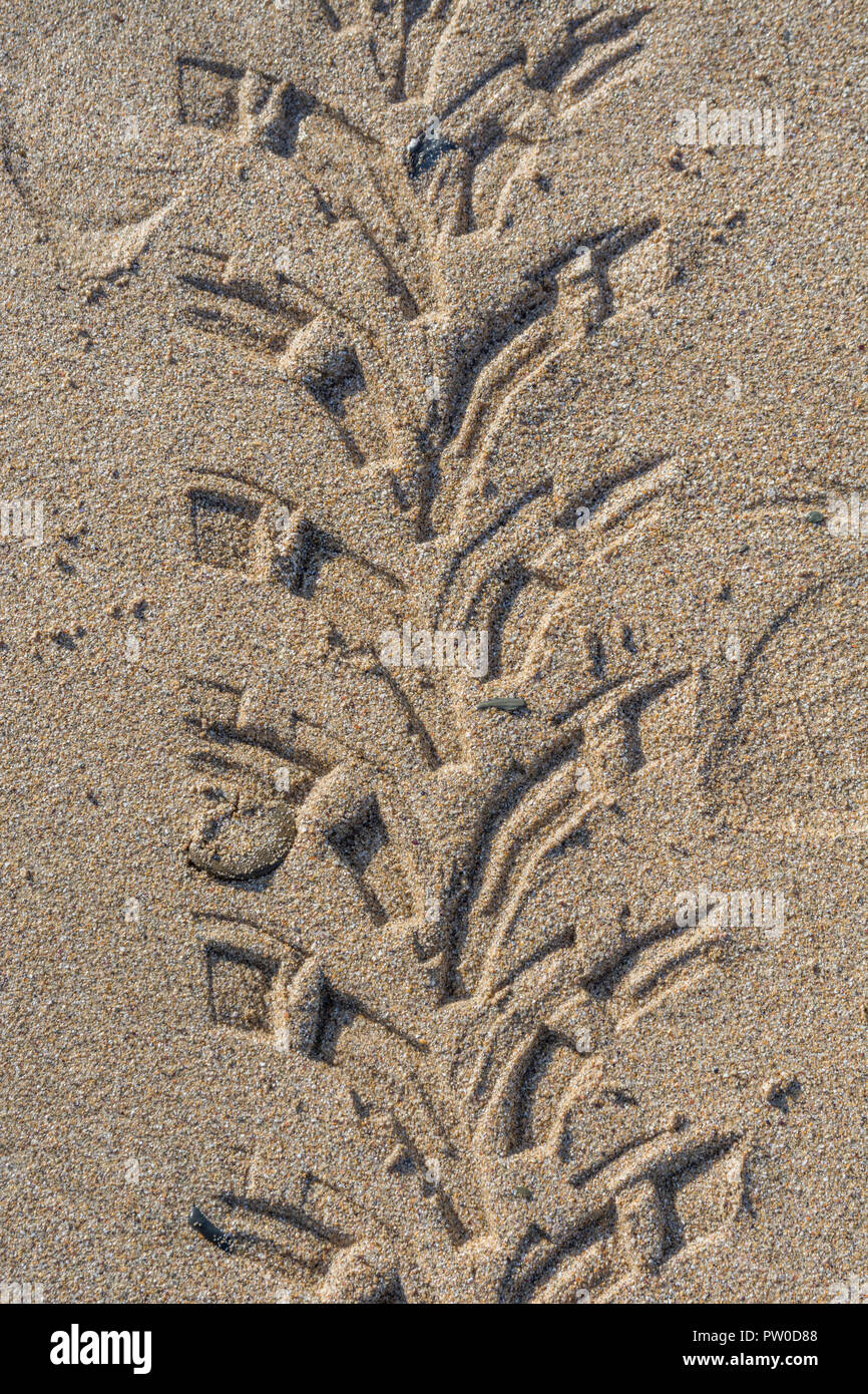 Impressions of tyre tread / tyre marks on wet sandy beach. Stock Photo